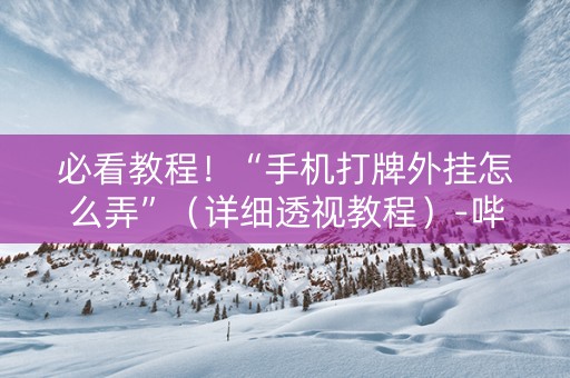 必看教程！“手机打牌外挂怎么弄”（详细透视教程）-哔哩哔哩