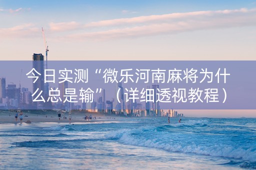 今日实测“微乐河南麻将为什么总是输”（详细透视教程）-哔哩哔哩