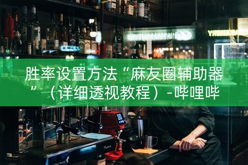 胜率设置方法“麻友圈辅助器”（详细透视教程）-哔哩哔哩