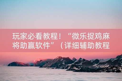 玩家必看教程！“微乐捉鸡麻将助赢软件”（详细辅助教程）-哔哩哔哩