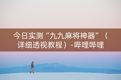 今日实测“九九麻将神器”（详细透视教程）-哔哩哔哩