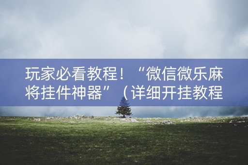 玩家必看教程！“微信微乐麻将挂件神器”（详细开挂教程）-哔哩哔哩