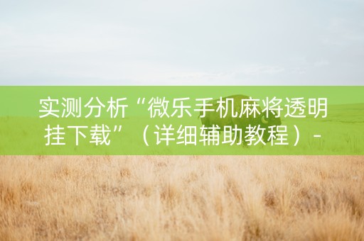 实测分析“微乐手机麻将透明挂下载”（详细辅助教程）-哔哩哔哩