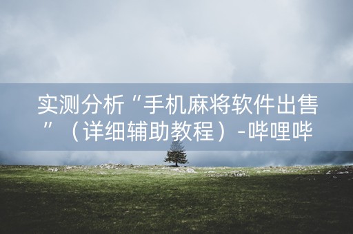 实测分析“手机麻将软件出售”（详细辅助教程）-哔哩哔哩