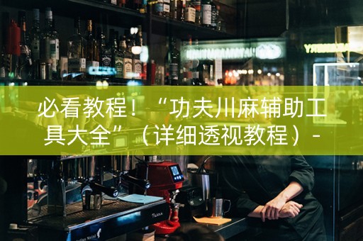 必看教程！“功夫川麻辅助工具大全”（详细透视教程）-哔哩哔哩