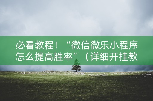必看教程！“微信微乐小程序怎么提高胜率”（详细开挂教程）-哔哩哔哩