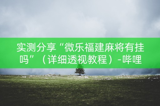 实测分享“微乐福建麻将有挂吗”（详细透视教程）-哔哩哔哩