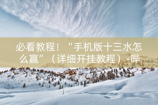 必看教程！“手机版十三水怎么赢”（详细开挂教程）-哔哩哔哩