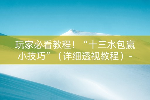 玩家必看教程！“十三水包赢小技巧”（详细透视教程）-哔哩哔哩