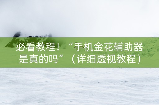 必看教程！“手机金花辅助器是真的吗”（详细透视教程）-哔哩哔哩