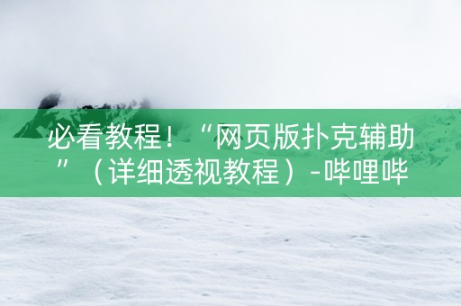 必看教程！“网页版扑克辅助”（详细透视教程）-哔哩哔哩