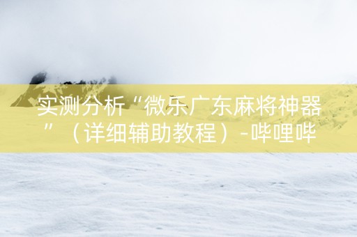 实测分析“微乐广东麻将神器”（详细辅助教程）-哔哩哔哩