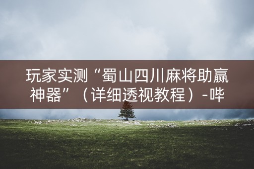 玩家实测“蜀山四川麻将助赢神器”（详细透视教程）-哔哩哔哩