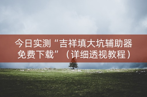 今日实测“吉祥填大坑辅助器免费下载”（详细透视教程）-哔哩哔哩