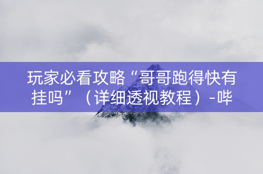 玩家必看攻略“哥哥跑得快有挂吗”（详细透视教程）-哔哩哔哩