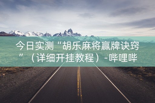 今日实测“胡乐麻将赢牌诀窍”（详细开挂教程）-哔哩哔哩