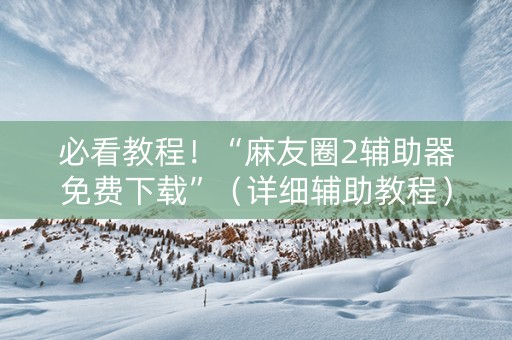 必看教程！“麻友圈2辅助器免费下载”（详细辅助教程）-哔哩哔哩