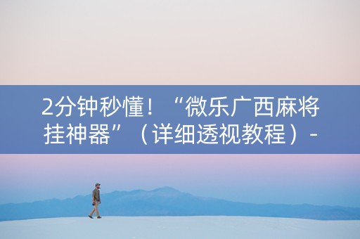 2分钟秒懂！“微乐广西麻将挂神器”（详细透视教程）-哔哩哔哩