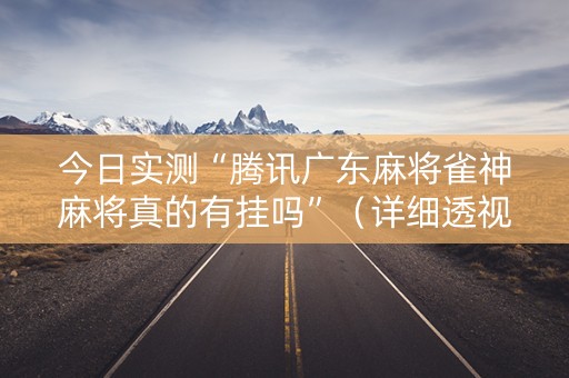 今日实测“腾讯广东麻将雀神麻将真的有挂吗”（详细透视教程）-哔哩哔哩