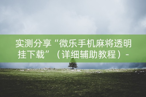 实测分享“微乐手机麻将透明挂下载”（详细辅助教程）-哔哩哔哩