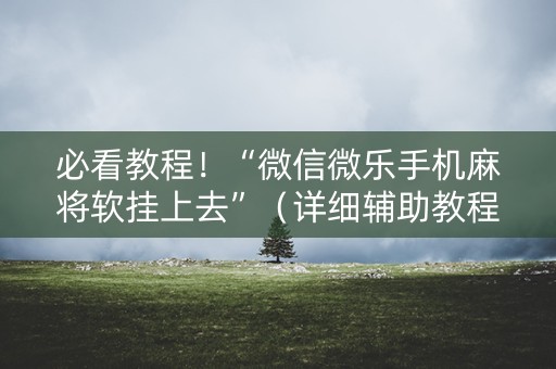 必看教程！“微信微乐手机麻将软挂上去”（详细辅助教程）-哔哩哔哩