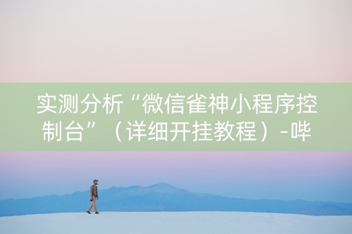 实测分析“微信雀神小程序控制台”（详细开挂教程）-哔哩哔哩