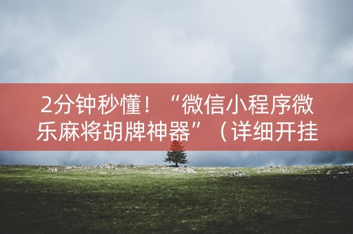 2分钟秒懂！“微信小程序微乐麻将胡牌神器”（详细开挂教程）-哔哩哔哩