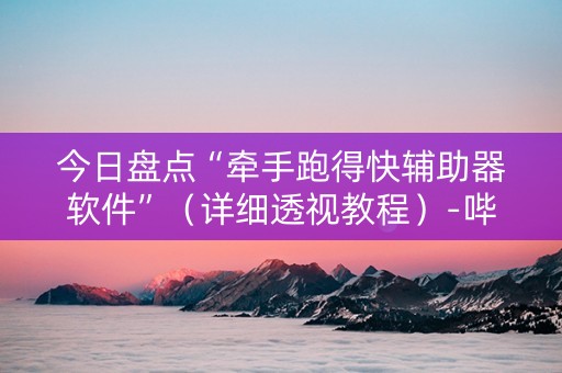 今日盘点“牵手跑得快辅助器软件”（详细透视教程）-哔哩哔哩