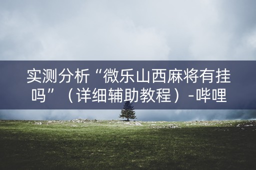 实测分析“微乐山西麻将有挂吗”（详细辅助教程）-哔哩哔哩