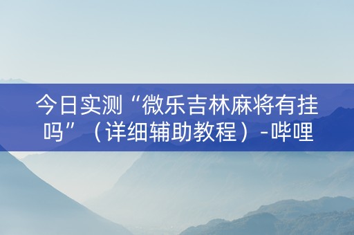 今日实测“微乐吉林麻将有挂吗”（详细辅助教程）-哔哩哔哩