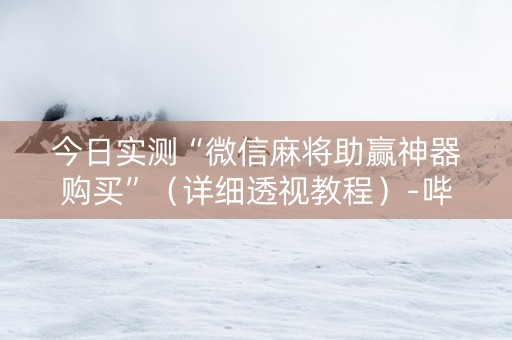 今日实测“微信麻将助赢神器购买”（详细透视教程）-哔哩哔哩