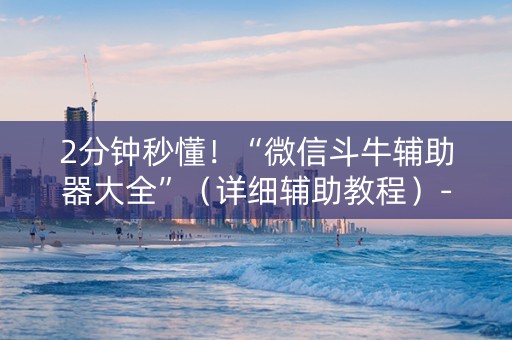 2分钟秒懂！“微信斗牛辅助器大全”（详细辅助教程）-哔哩哔哩