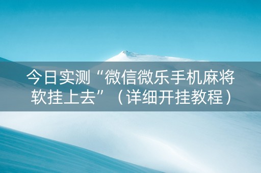 今日实测“微信微乐手机麻将软挂上去”（详细开挂教程）-哔哩哔哩