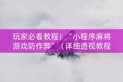 玩家必看教程！“小程序麻将游戏防作弊”（详细透视教程）-哔哩哔哩