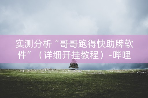 实测分析“哥哥跑得快助牌软件”（详细开挂教程）-哔哩哔哩