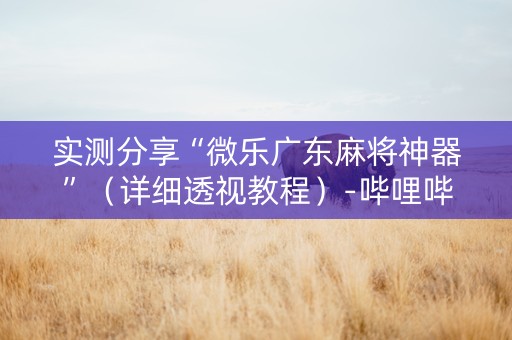 实测分享“微乐广东麻将神器”（详细透视教程）-哔哩哔哩