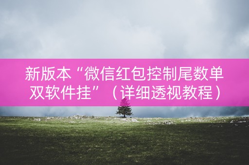 新版本“微信红包控制尾数单双软件挂”（详细透视教程）-哔哩哔哩