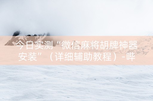 今日实测“微信麻将胡牌神器安装”（详细辅助教程）-哔哩哔哩