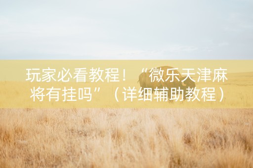 玩家必看教程！“微乐天津麻将有挂吗”（详细辅助教程）-哔哩哔哩