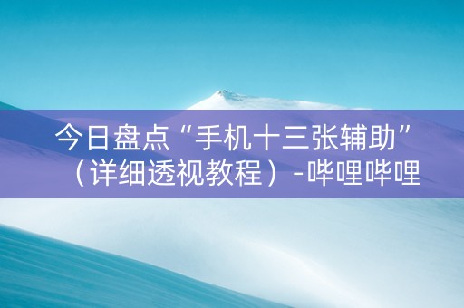 今日盘点“手机十三张辅助”（详细透视教程）-哔哩哔哩