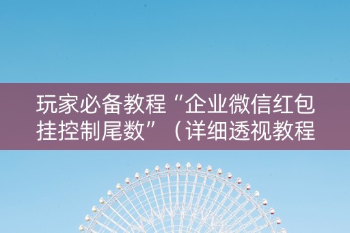 玩家必备教程“企业微信红包挂控制尾数”（详细透视教程）-哔哩哔哩