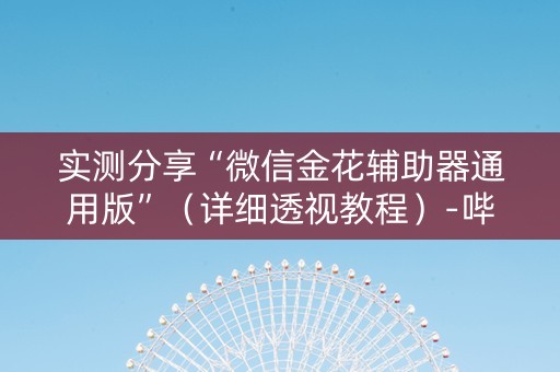实测分享“微信金花辅助器通用版”（详细透视教程）-哔哩哔哩