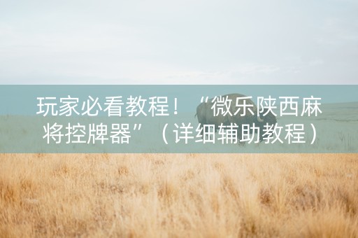 玩家必看教程！“微乐陕西麻将控牌器”（详细辅助教程）-哔哩哔哩