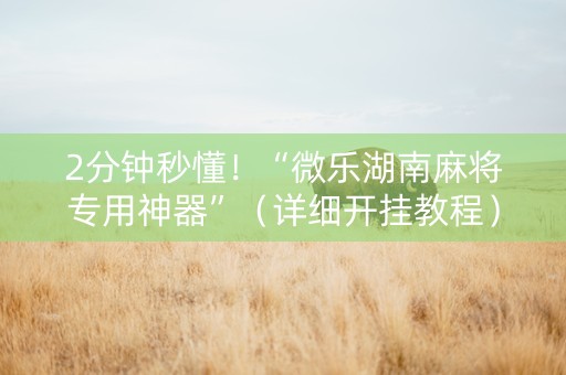 2分钟秒懂！“微乐湖南麻将专用神器”（详细开挂教程）-哔哩哔哩