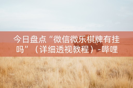 今日盘点“微信微乐棋牌有挂吗”（详细透视教程）-哔哩哔哩