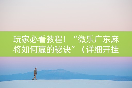 玩家必看教程！“微乐广东麻将如何赢的秘诀”（详细开挂教程）-哔哩哔哩