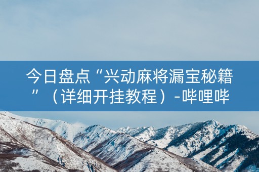 今日盘点“兴动麻将漏宝秘籍”（详细开挂教程）-哔哩哔哩