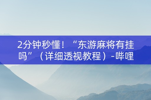 2分钟秒懂！“东游麻将有挂吗”（详细透视教程）-哔哩哔哩