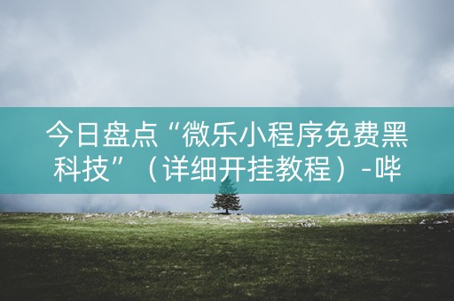今日盘点“微乐小程序免费黑科技”（详细开挂教程）-哔哩哔哩