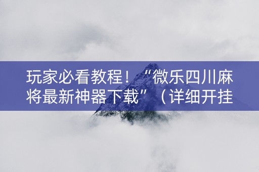 玩家必看教程！“微乐四川麻将最新神器下载”（详细开挂教程）-哔哩哔哩